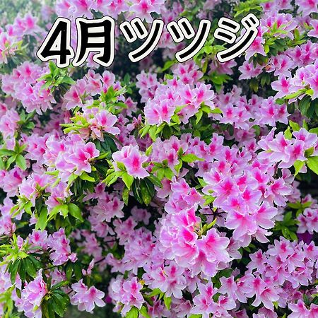 伊都山海渓 Itoshima Экстерьер фото
