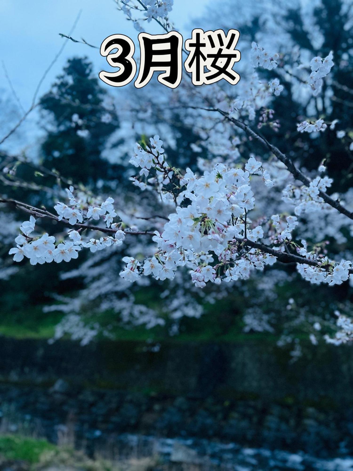 伊都山海渓 Itoshima Экстерьер фото